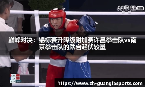巅峰对决：锦标赛升降级附加赛许昌拳击队vs南京拳击队的跌宕起伏较量